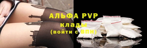 СК Аркадак