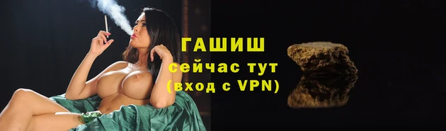 СК Аркадак